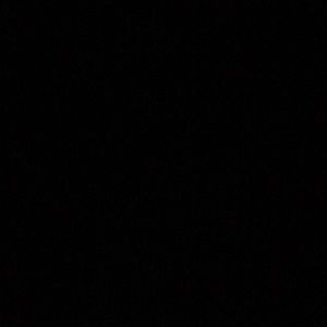 Meet your Posher, Maia